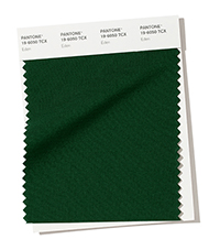 PANTONE 19-6050.jpg